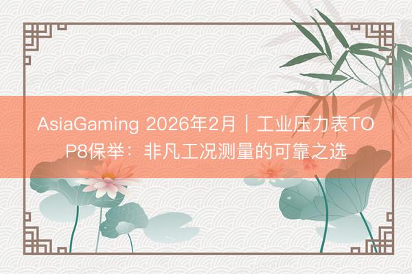 AsiaGaming 2026年2月|工業(yè)壓力表TOP8保舉:非凡工況測量的可靠之選