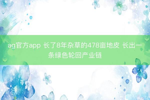 ag官方app 長了8年雜草的478畝地皮 長出一條綠色輪回產業鏈